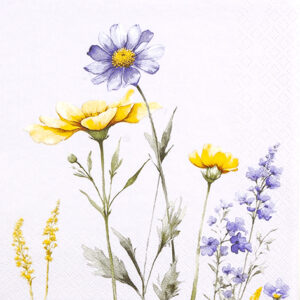 Servíettur Silvia 33x33 (12)