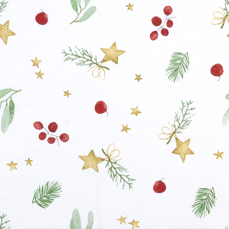 Serv. Wonderful Christmas 33x40 (12)