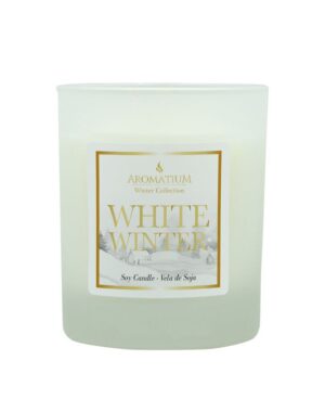 Vela vaso Frosted White Winter