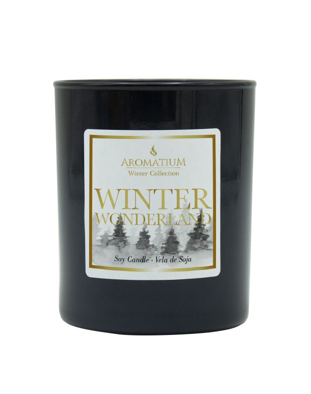 Vela vaso Negro Winter Wonderland